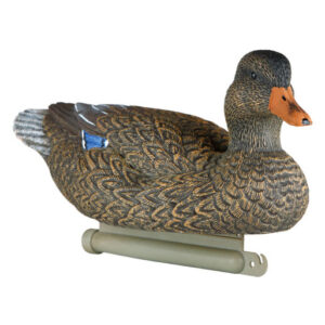 Hunting Decoy